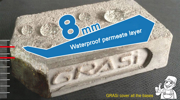 ɰ�{�c���������o(h��)��